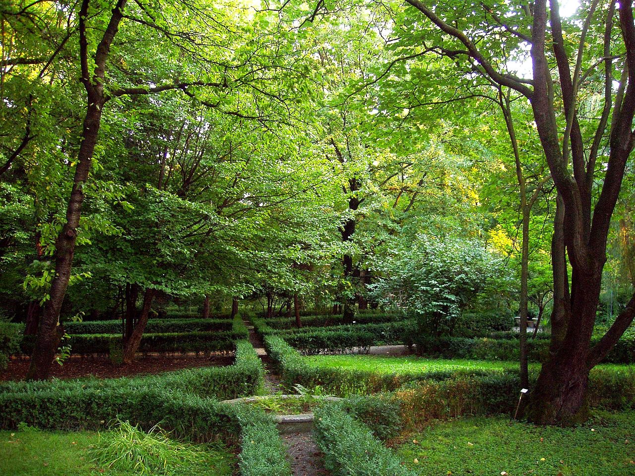 L’Orto Botanico di Parma, storico «giardino dei semplici».
