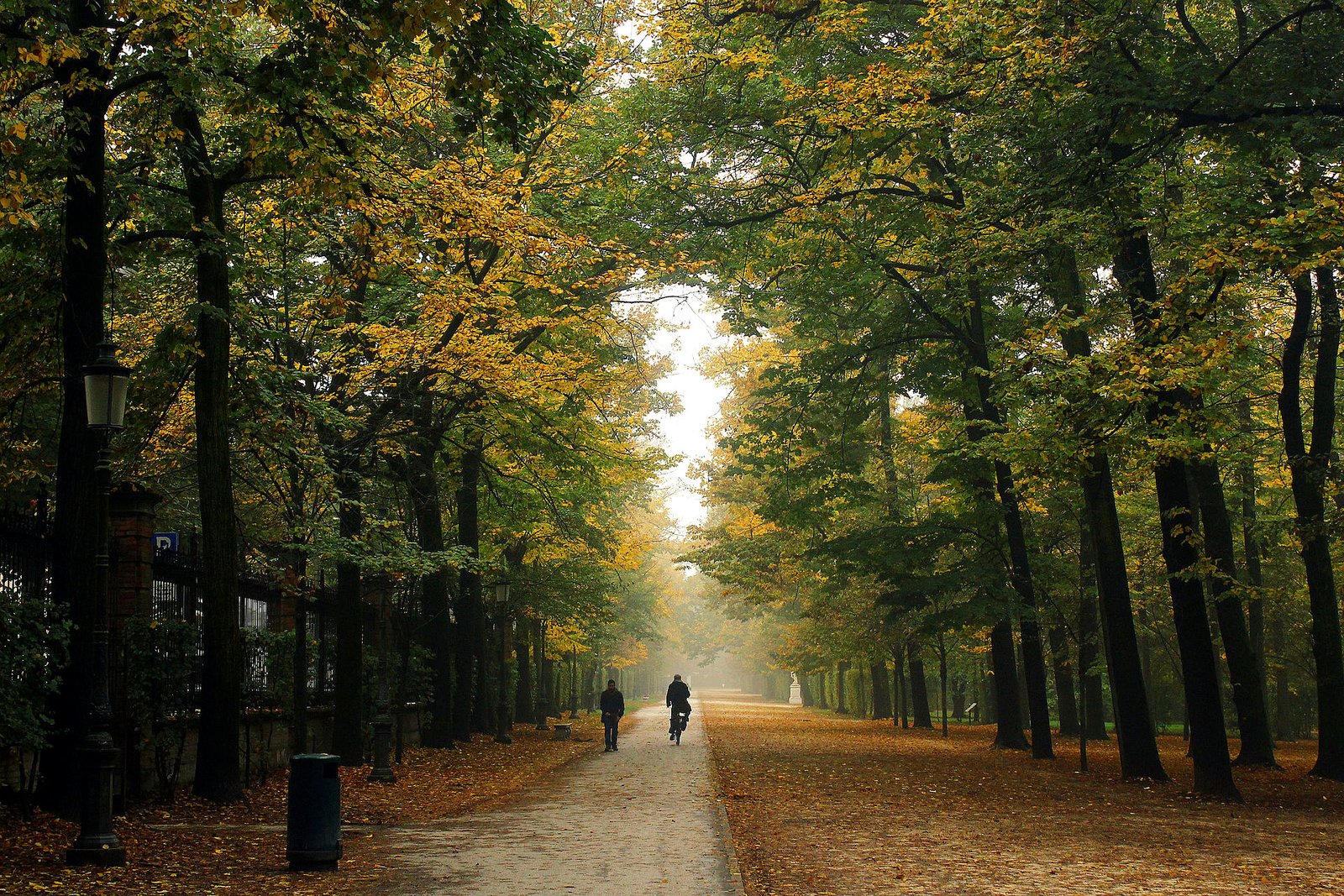 Parco Ducale